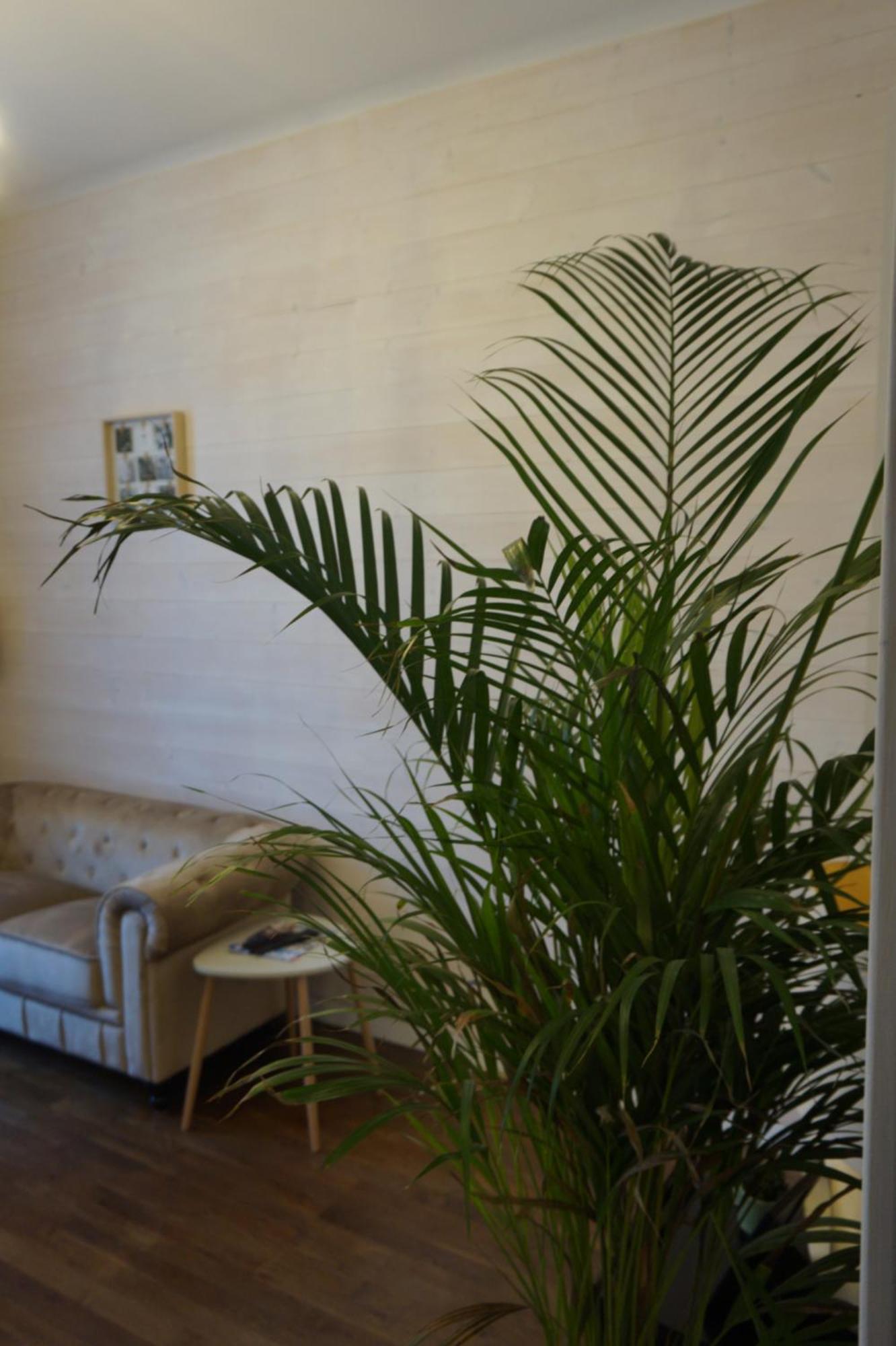 L'Experience Appartement & Spa Prive Chambery Luaran gambar
